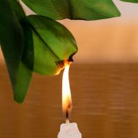 uploads/erp/collection/images/Home Garden/CongDing/XU0610304/img_b/XU0610304_img_b_4